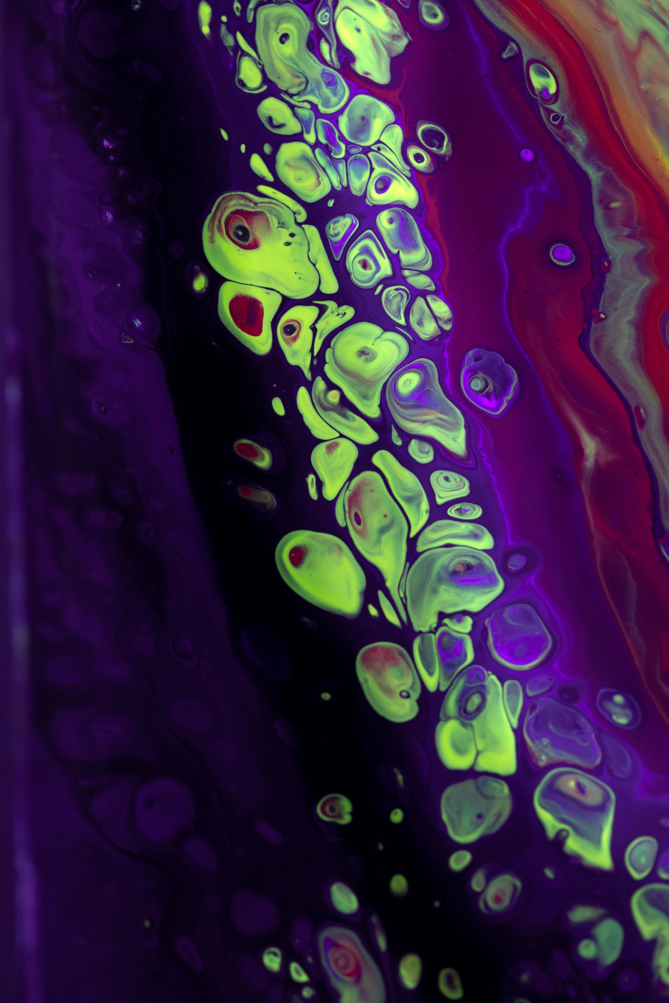 Photo by solenfeyissa