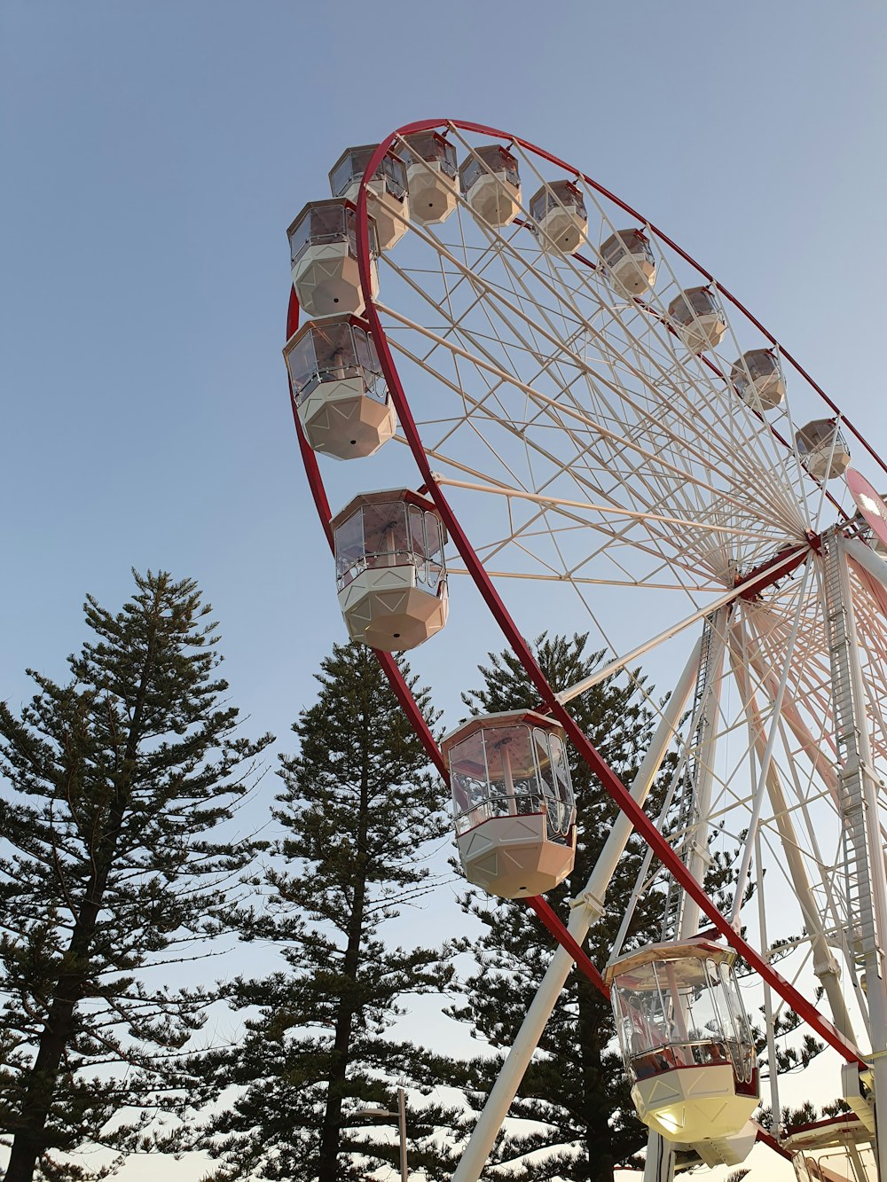 Una noria en un parque con árboles al fondo