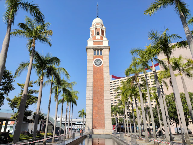 The Clock Tower among palms, blue sky