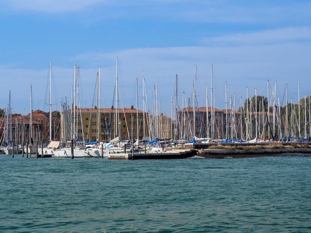 a bunch of boats that are in the water