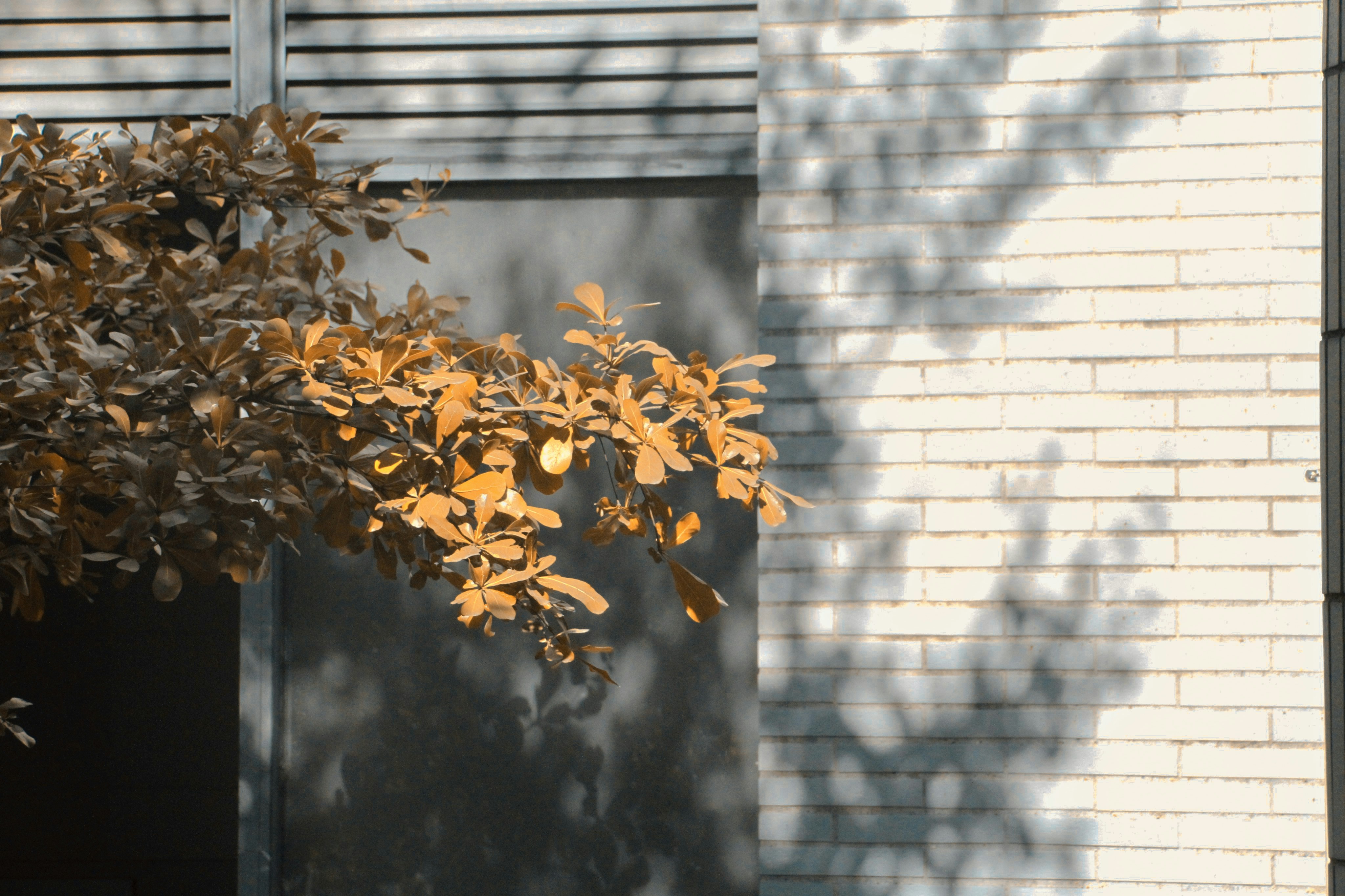 Photo by alex_richard