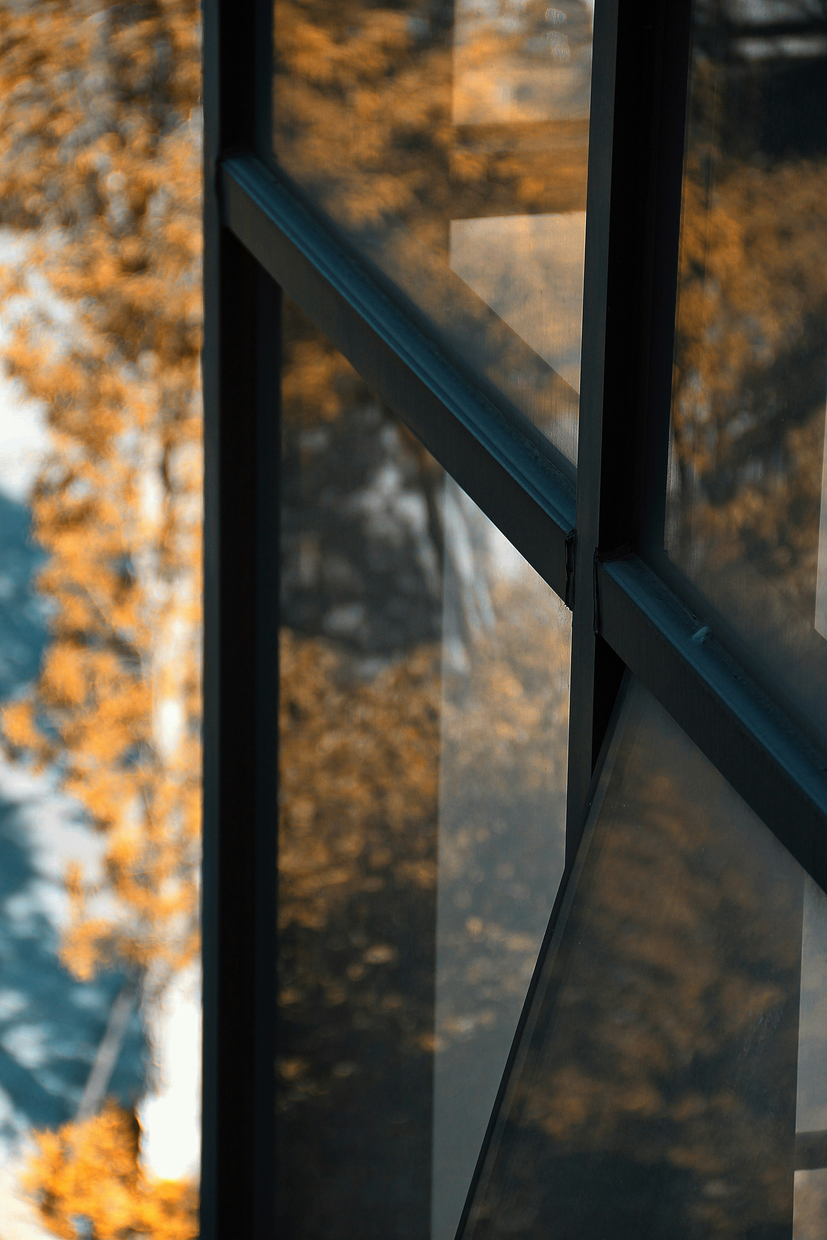 Photo by alex_richard