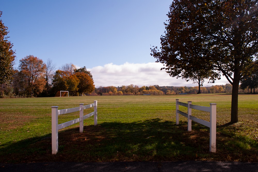 a field with a tree and two white benches