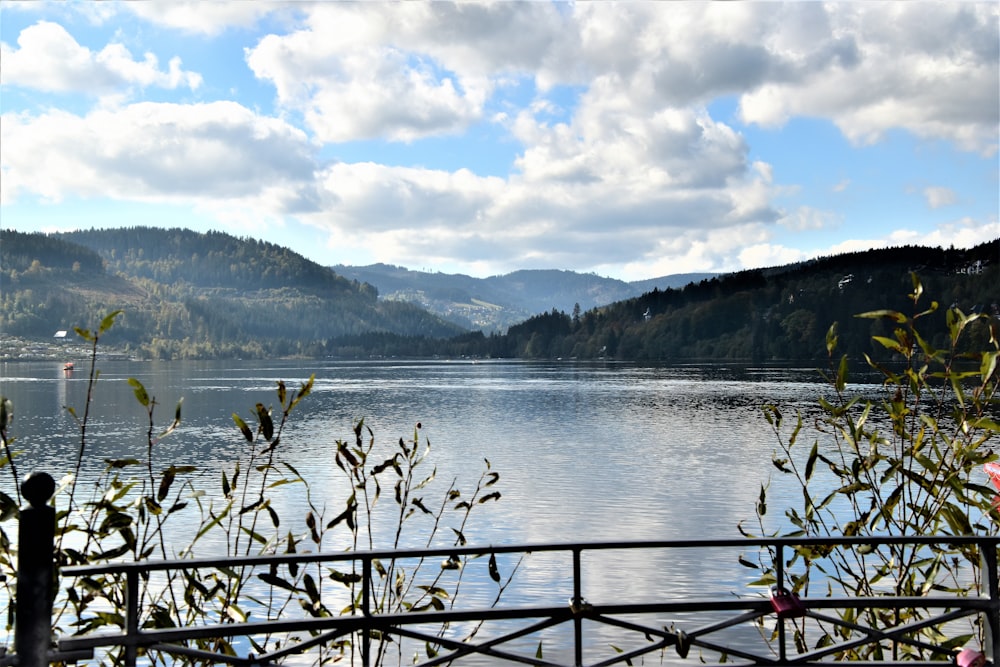 a body of water surrounded by mountains and trees