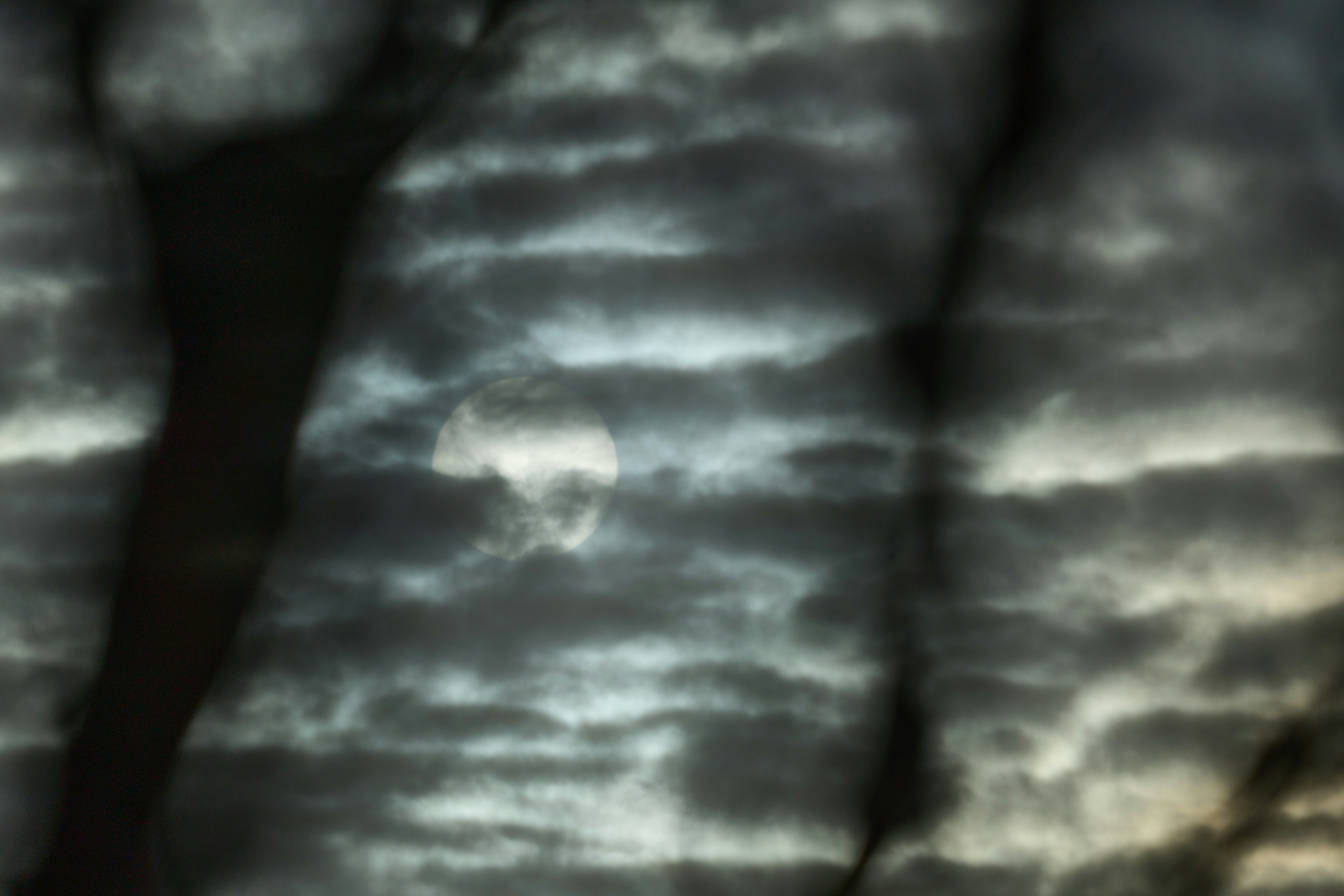 Photo by wolfgang_hasselmann