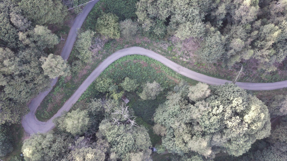 an aerial view of a winding road in the woods