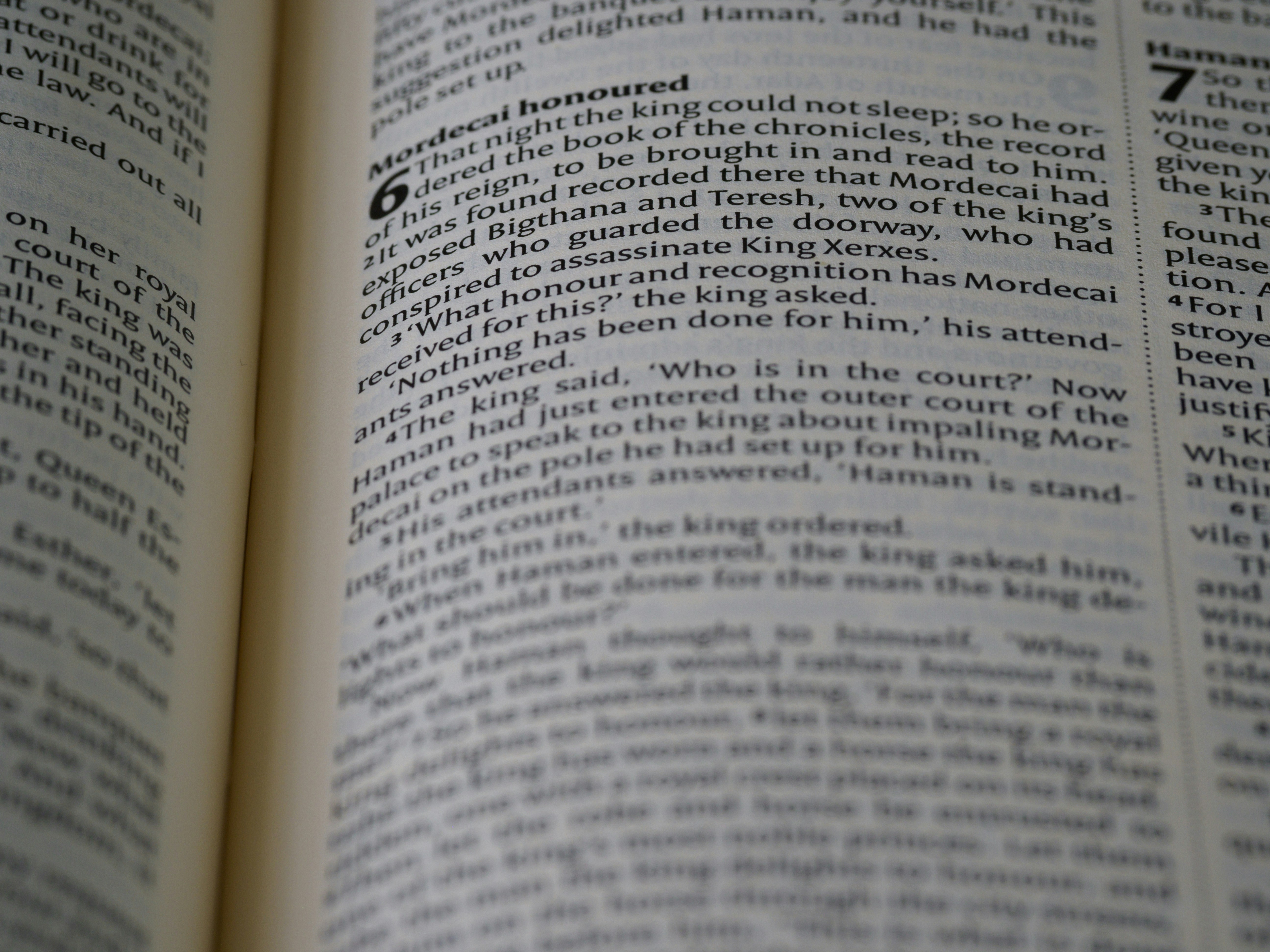 Photo by brett_jordan