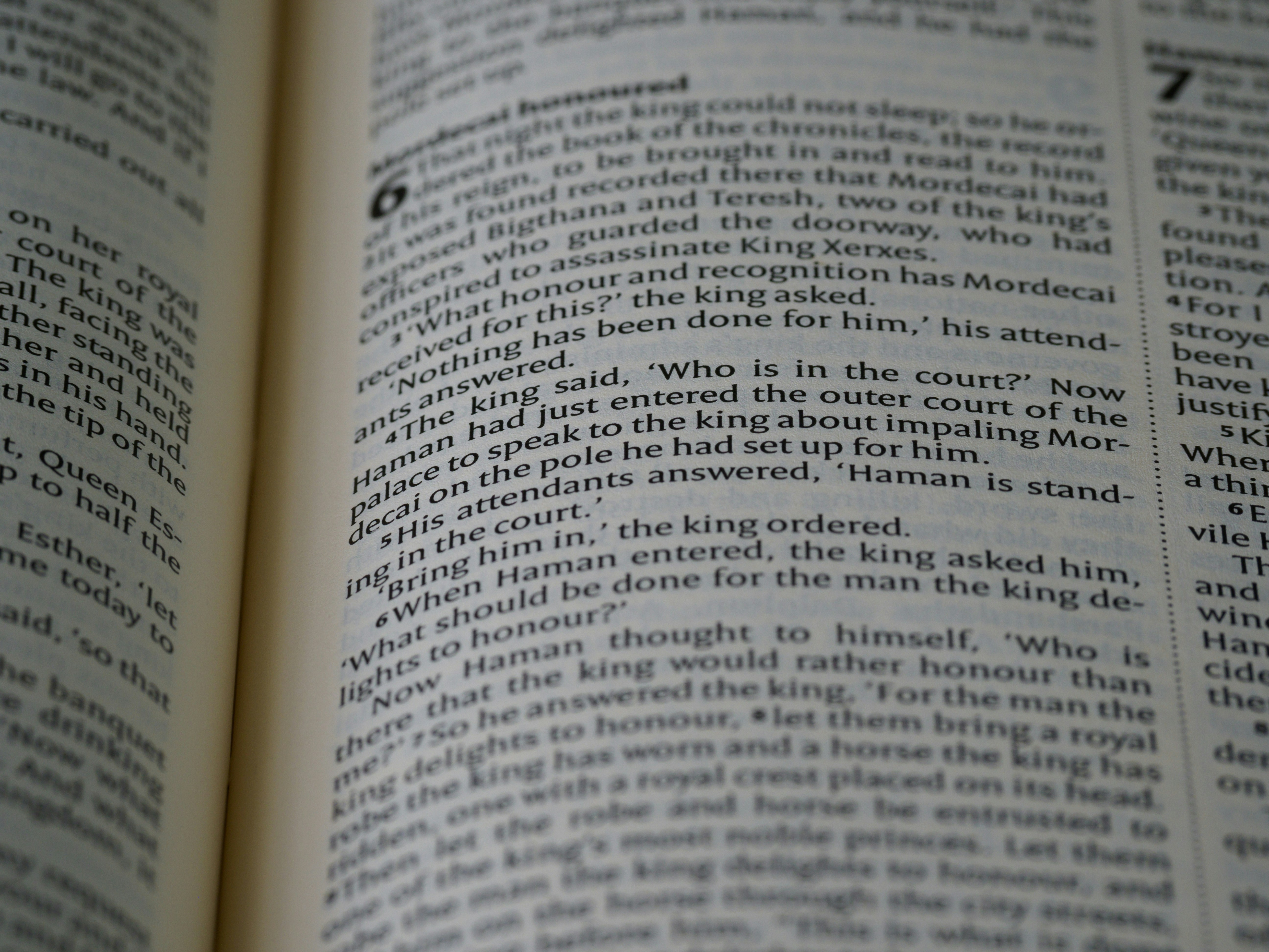 Photo by brett_jordan