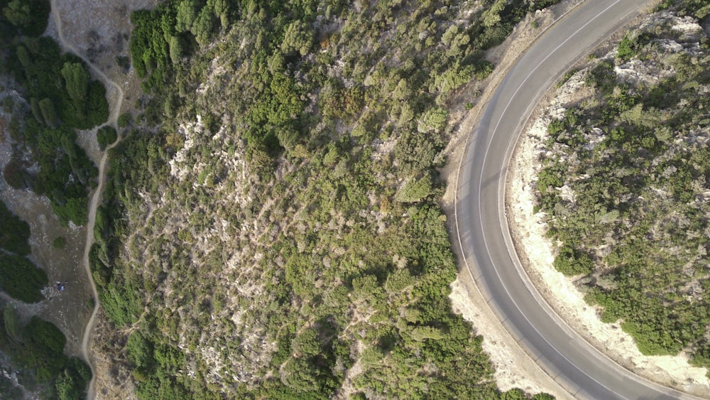 an aerial view of a road surrounded by trees