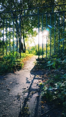 Pathway through the green surroundings leading to the entrance of Ferienhaus Elfi Dachau.
