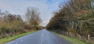Support vehicle following two cyclists on a long road with autumn trees lining the route.