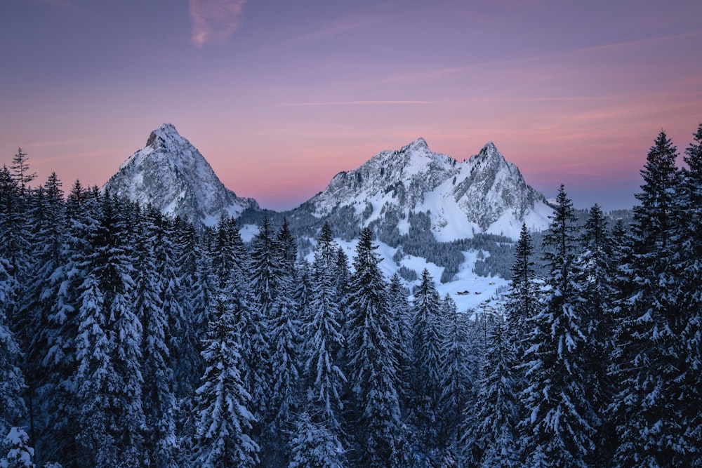 a mountain covered in snow next to a forest