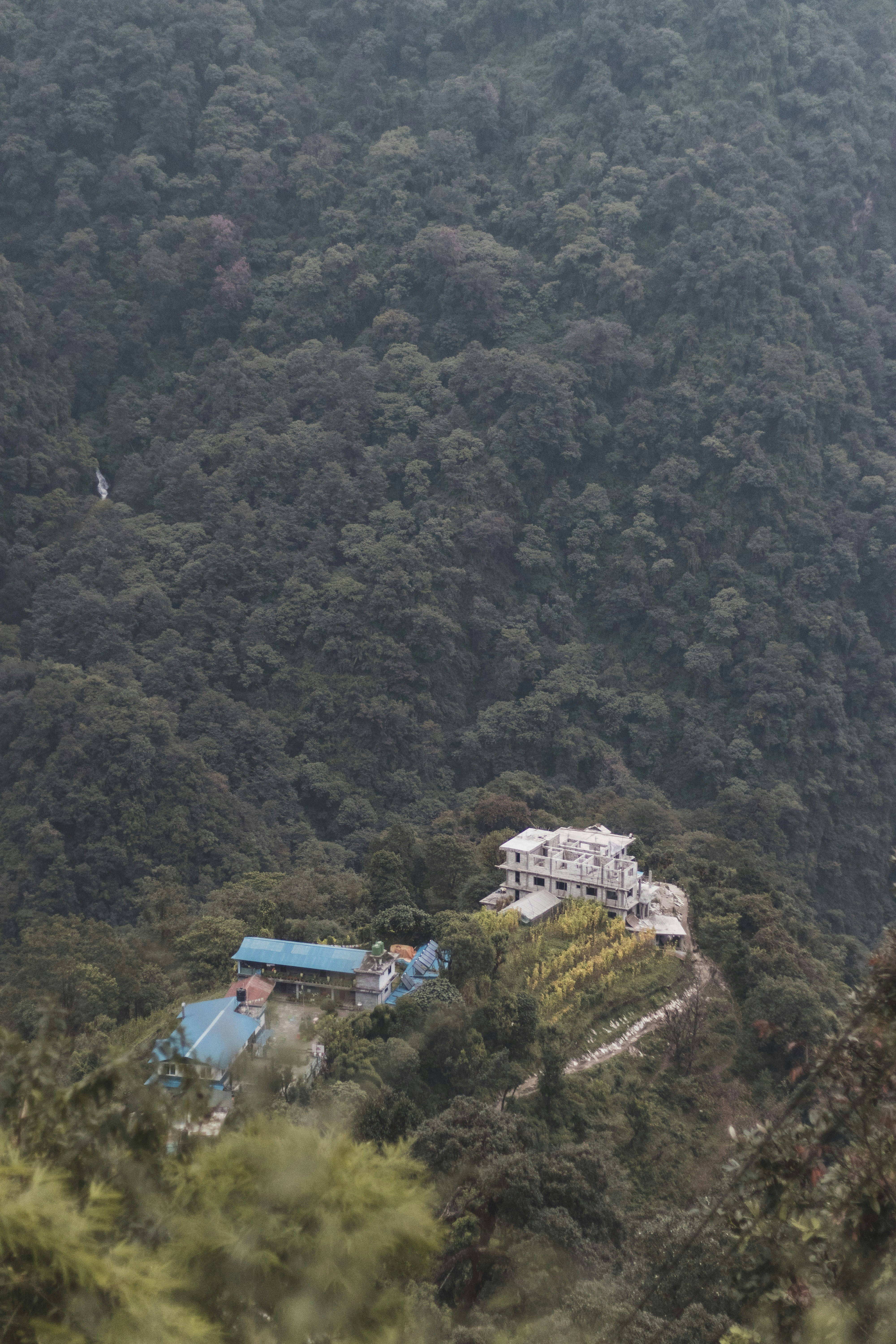 a house on a hill surrounded by trees