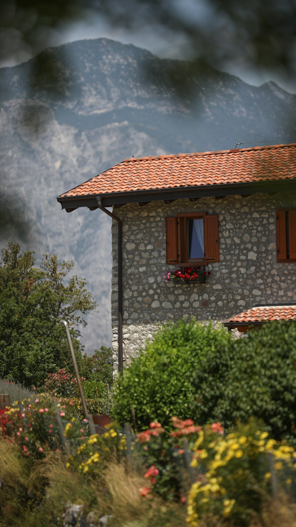 a house with trees in the background