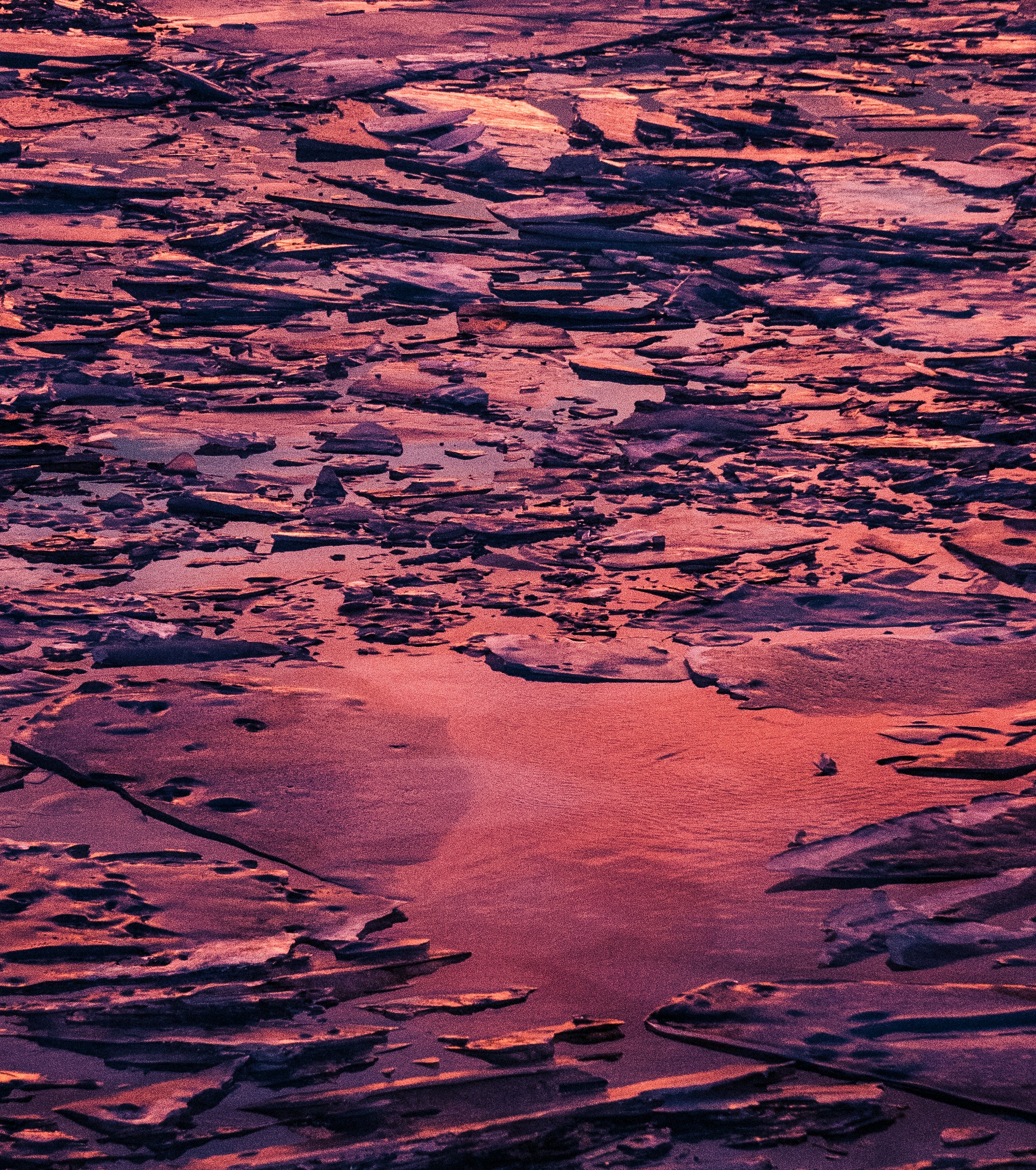 Photo by karljkhedin