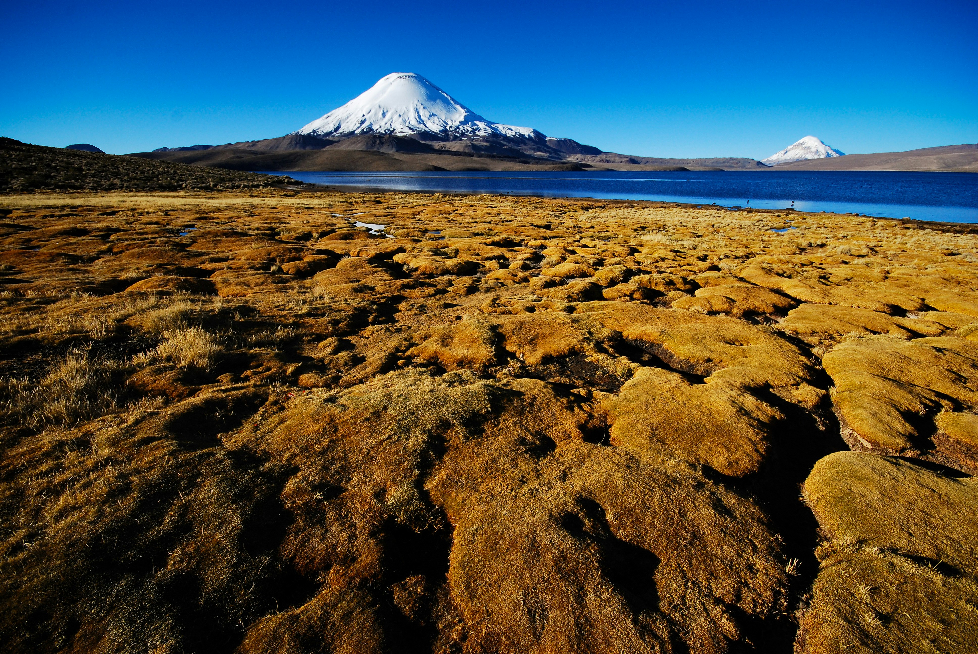 a rocky beach