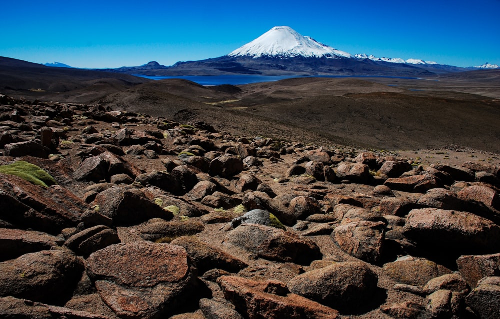 Un primer plano de una montaña rocosa