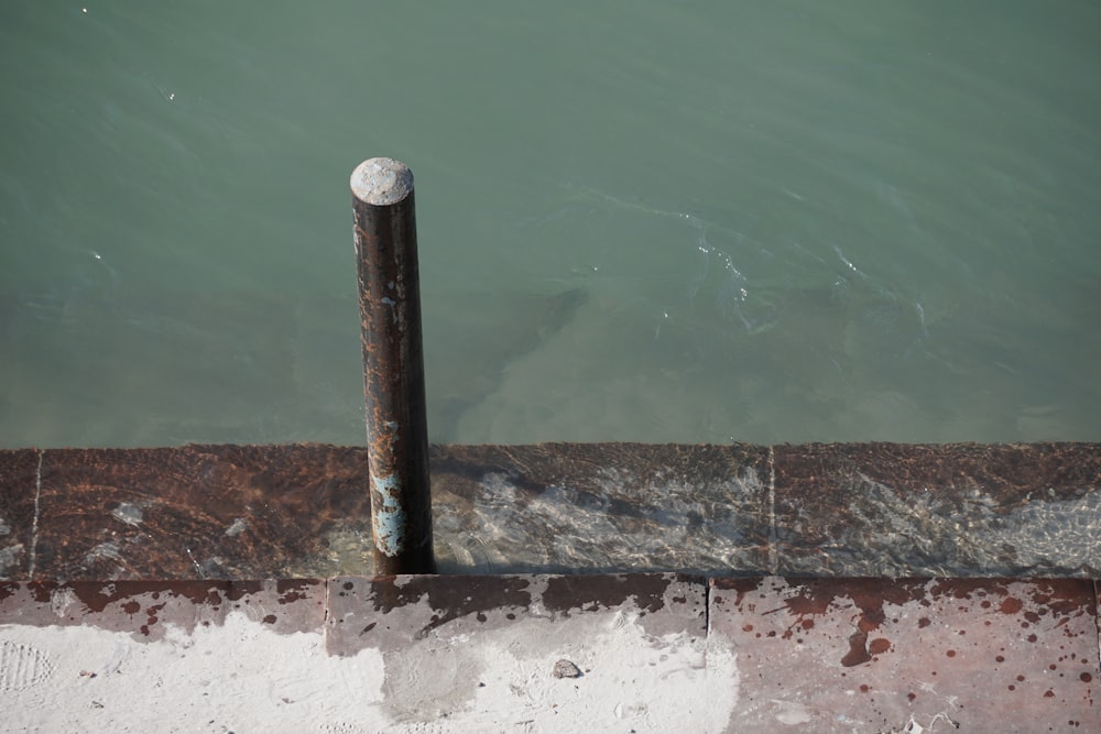a pole sticking out of a body of water