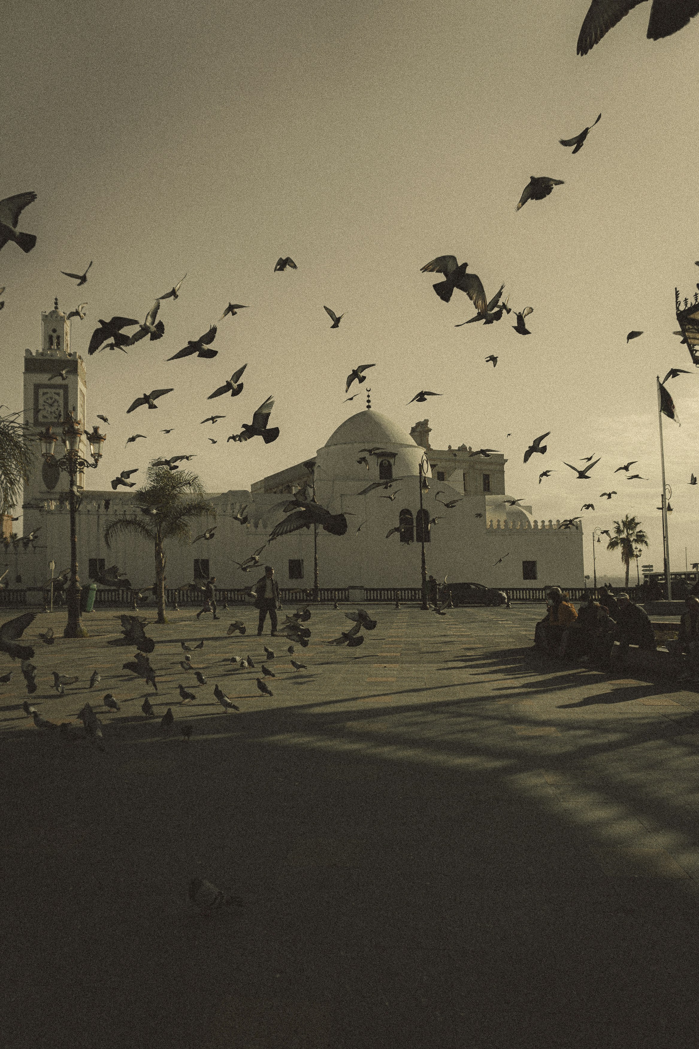 Photo by ayoubvision