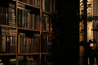 a bookshelf filled with lots of books next to a window