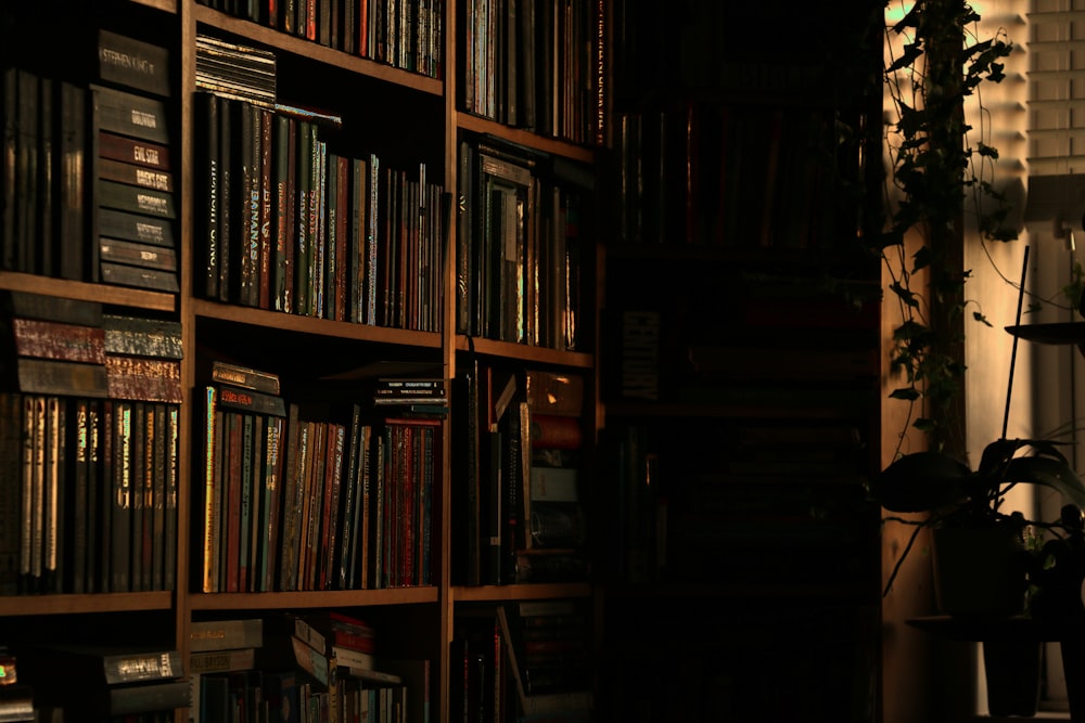 a bookshelf filled with lots of books next to a window