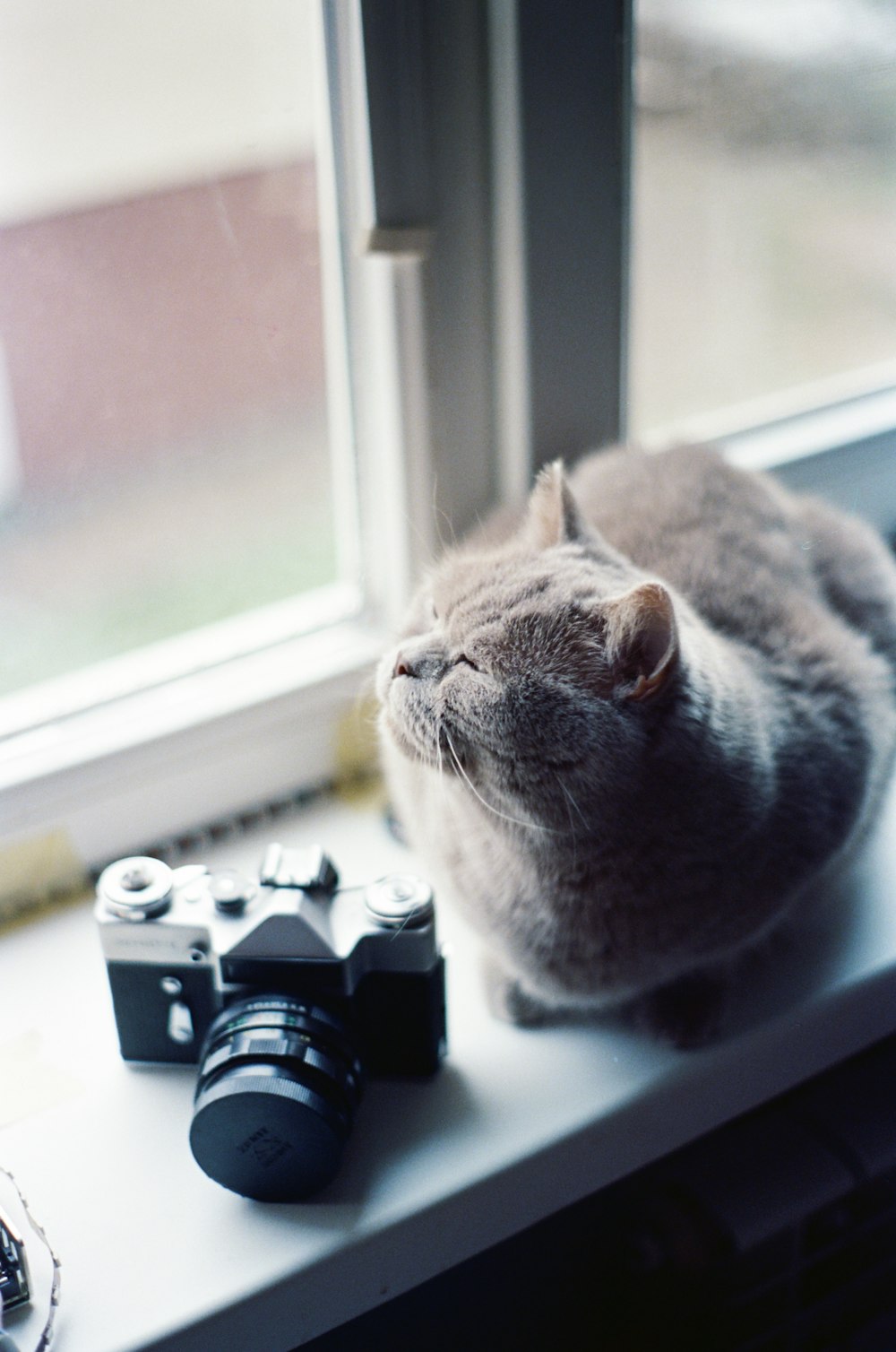 a cat sitting on a window sill next to a camera