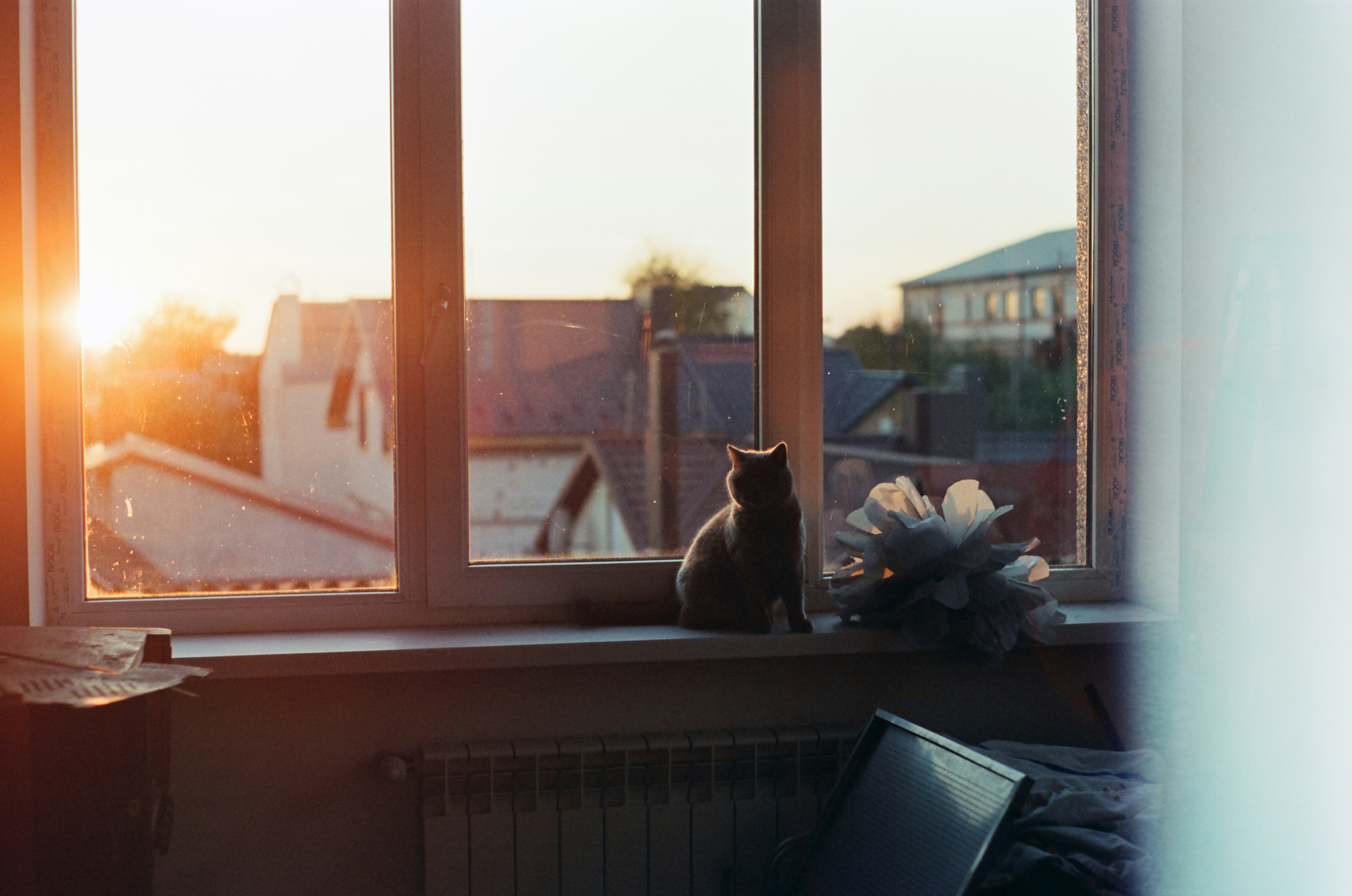Resident and cat enjoying sunset view from luxury apartment balcony overlooking city skyline - Pet-friendly luxury apartments