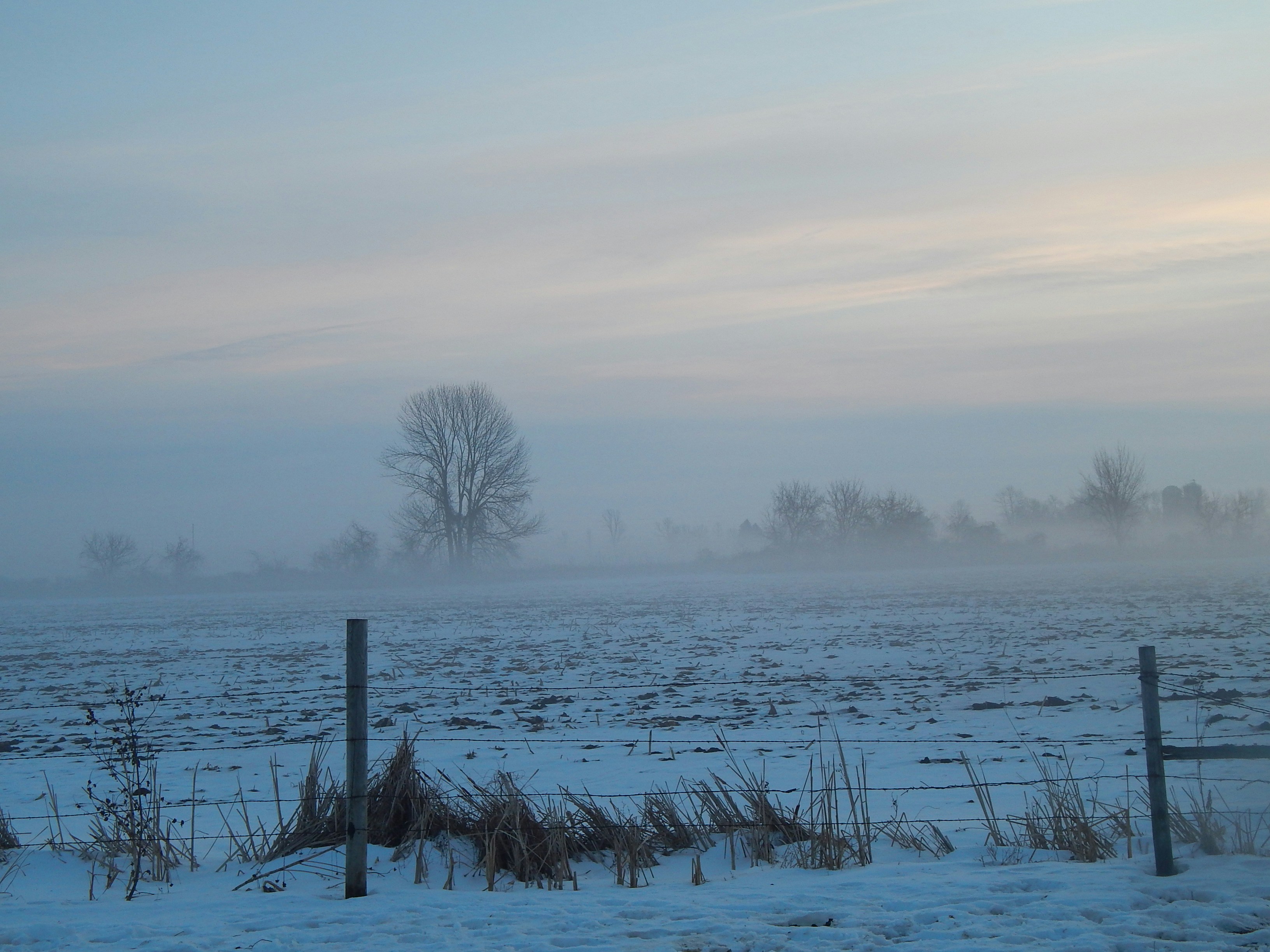 Photo by scarlettweiss