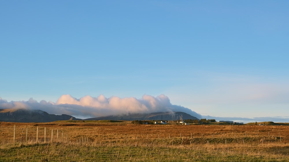 a grassy field with mountains in the background