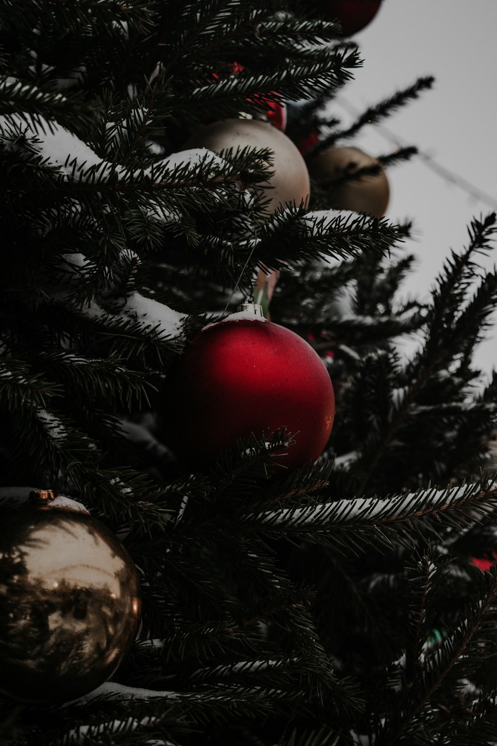 a close up of a christmas tree with ornaments