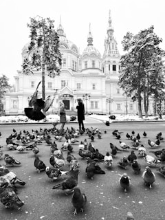a flock of pigeons sitting on the ground in front of a building