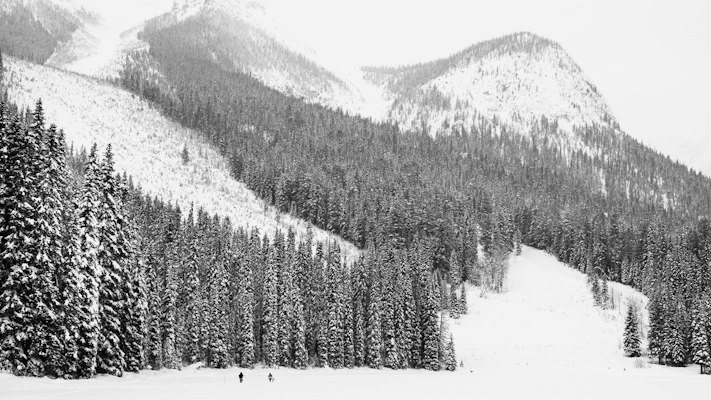 Aerial view of ski runs cut through dense snow-covered forest near Banff