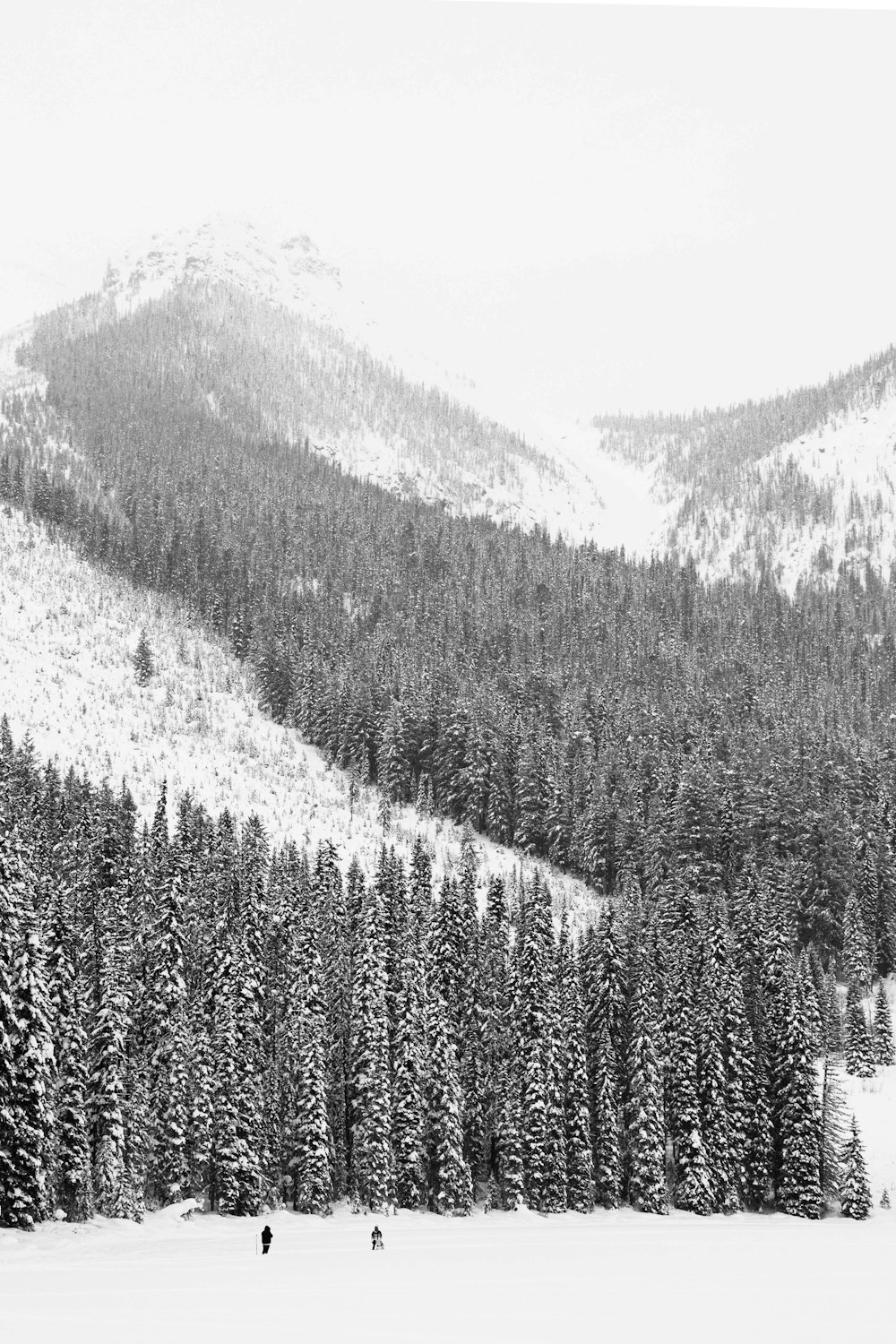 Ein Schwarz-Weiß-Foto eines schneebedeckten Berges