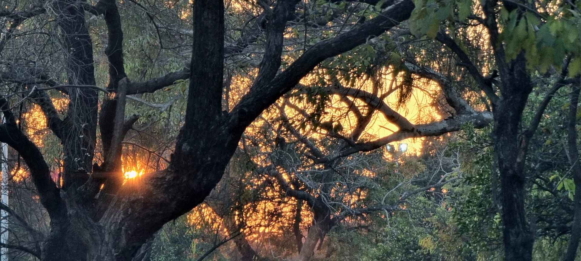 woman wearing yellow long-sleeved dress under white clouds and blue sky during daytime