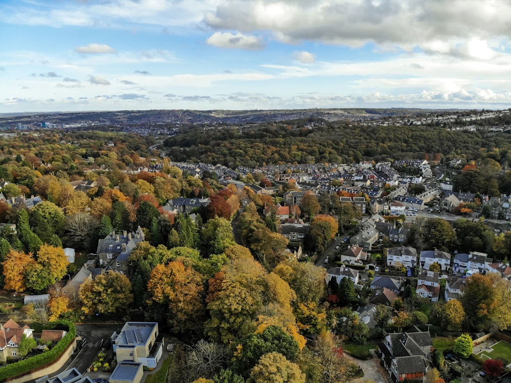 uma vista aérea de uma cidade cercada por árvores