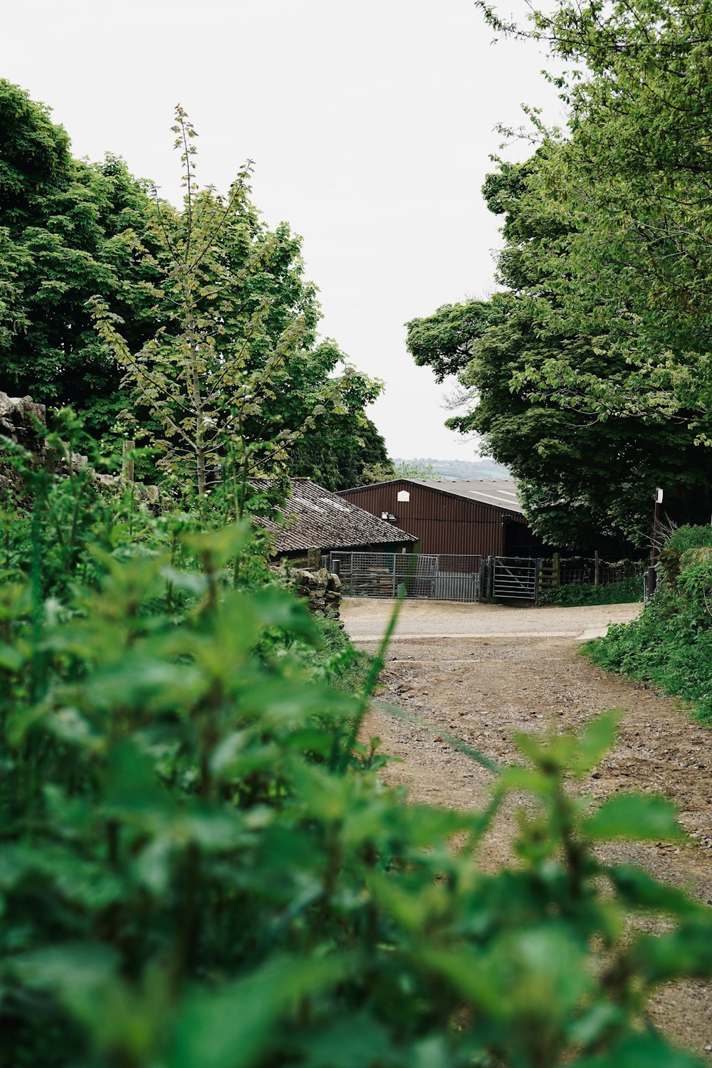 a dirt road with a barn in the background