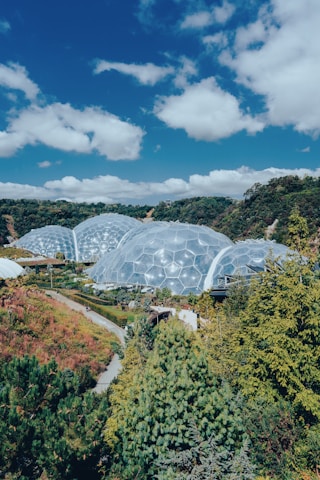 a group of domes in the middle of a forest