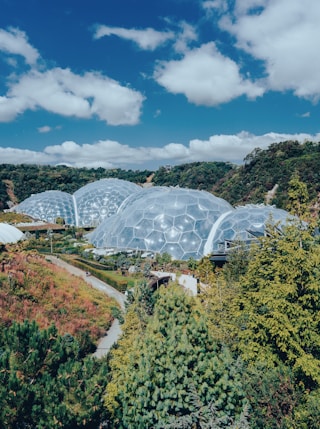 a group of domes in the middle of a forest