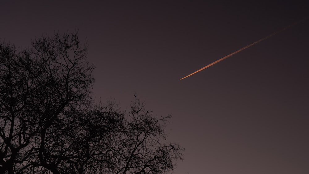 a plane flying over a tree at night