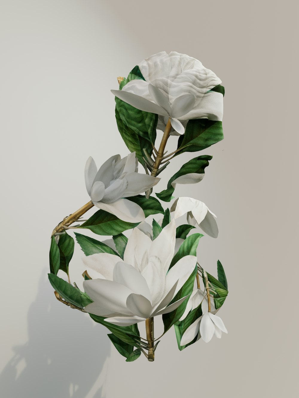 un bouquet de fleurs blanches aux feuilles vertes