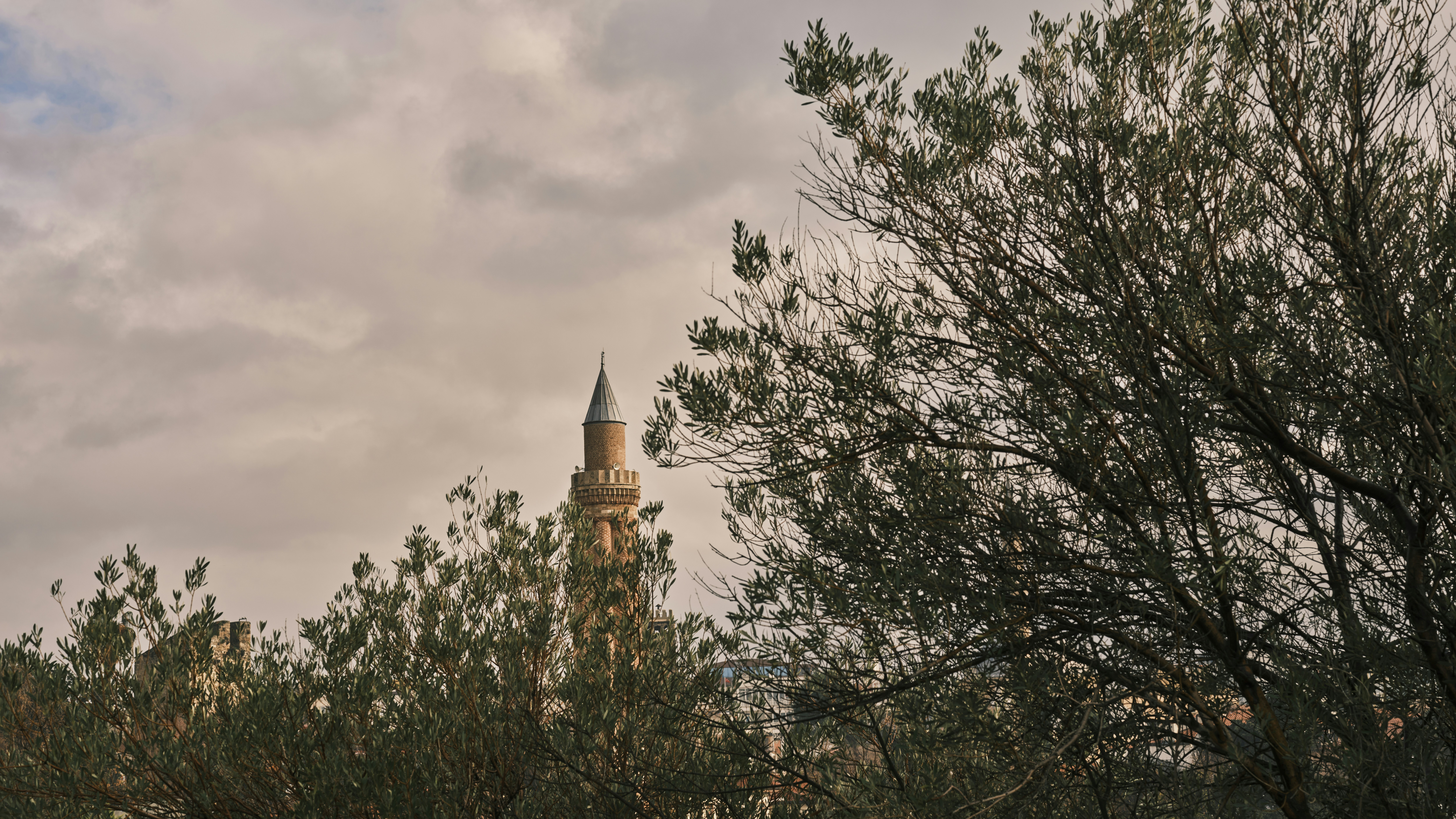 a tall tower with a clock on top surrounded by trees
