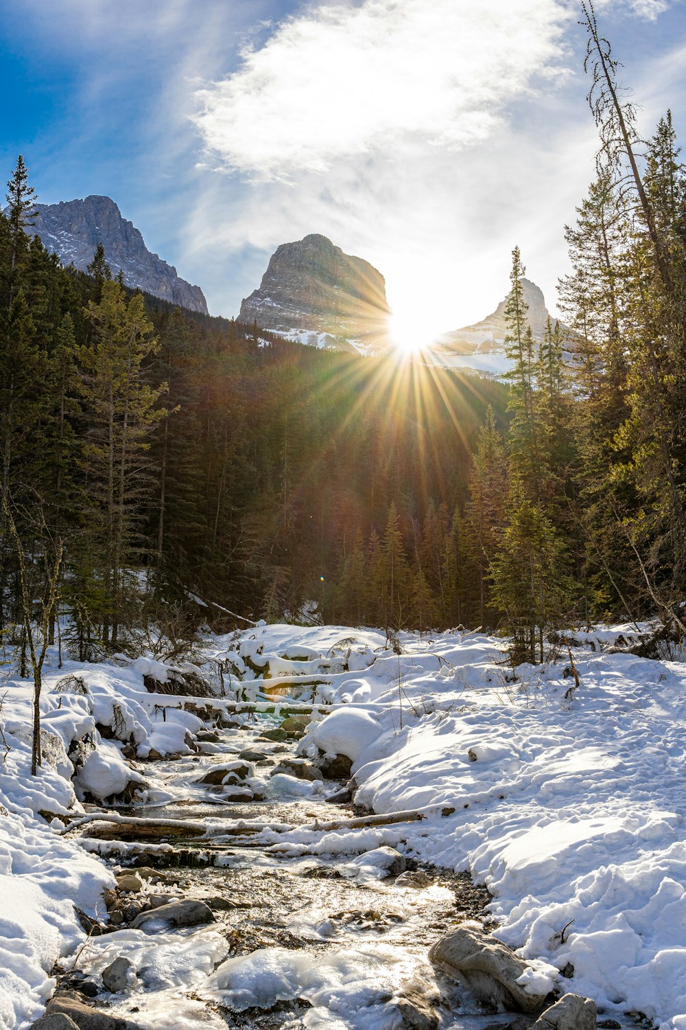 a stream running through a snow covered forest