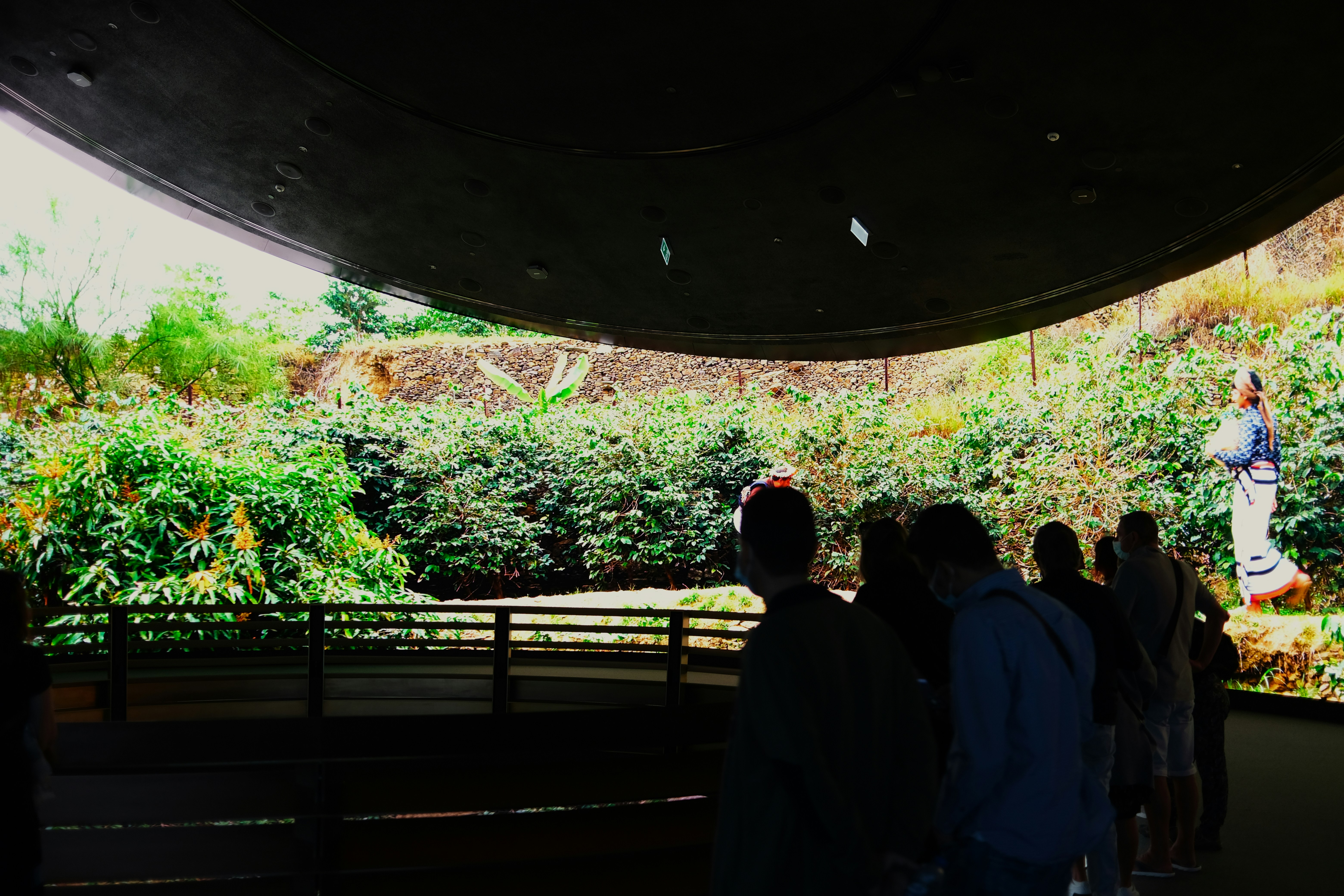 Several people stand indoors observing a large, curved digital screen displaying a vivid outdoor landscape with greenery and a person in traditional attire. The interior is dimly lit, contrasting with the bright scene outside.