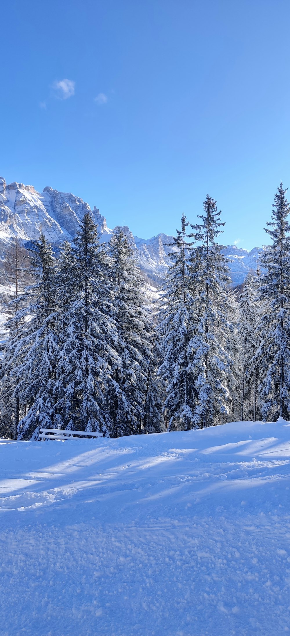 a snowy landscape with trees and mountains in the background