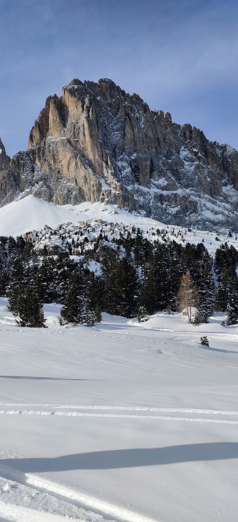 a snow covered mountain with trees in the foreground