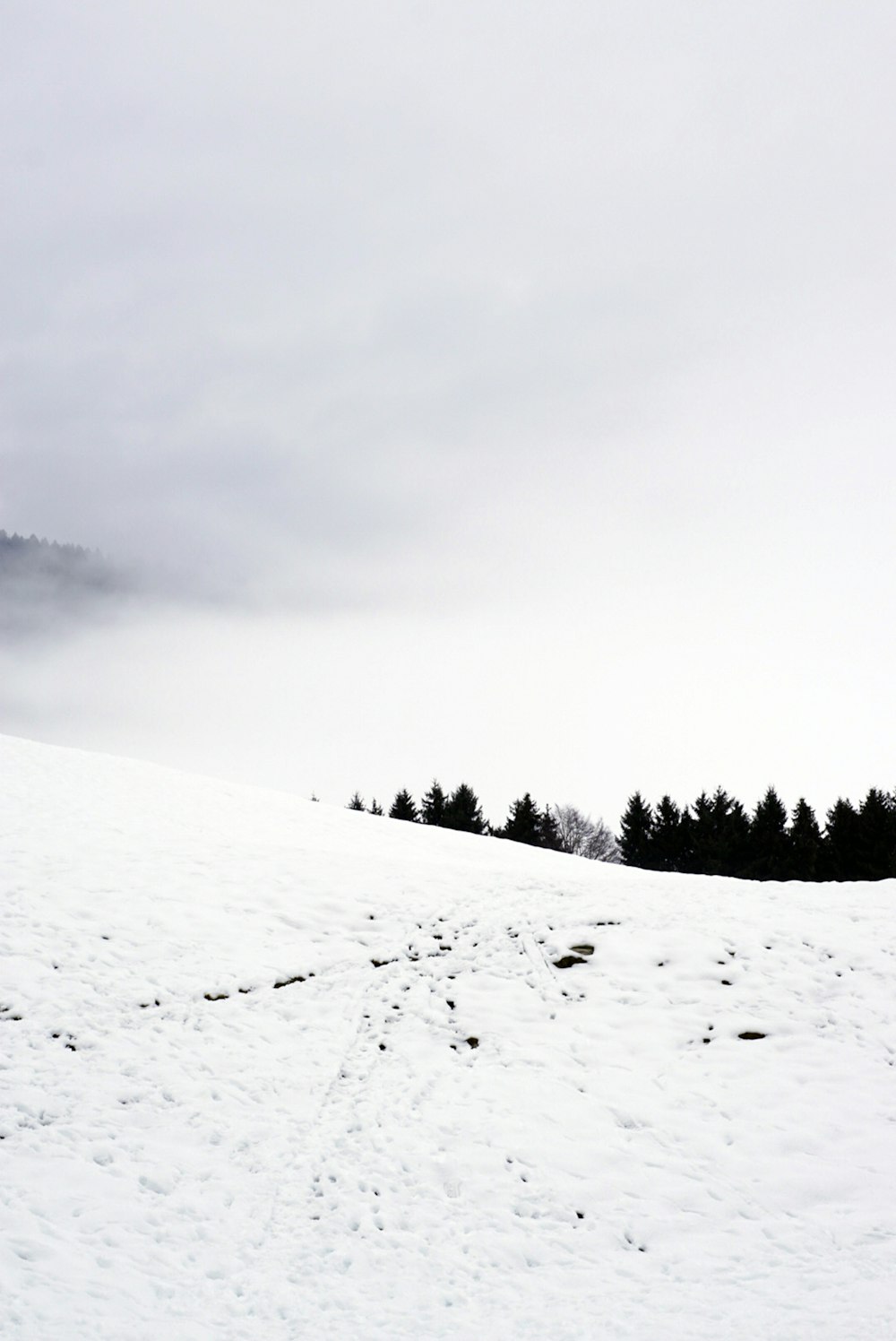 a person riding skis down a snow covered slope