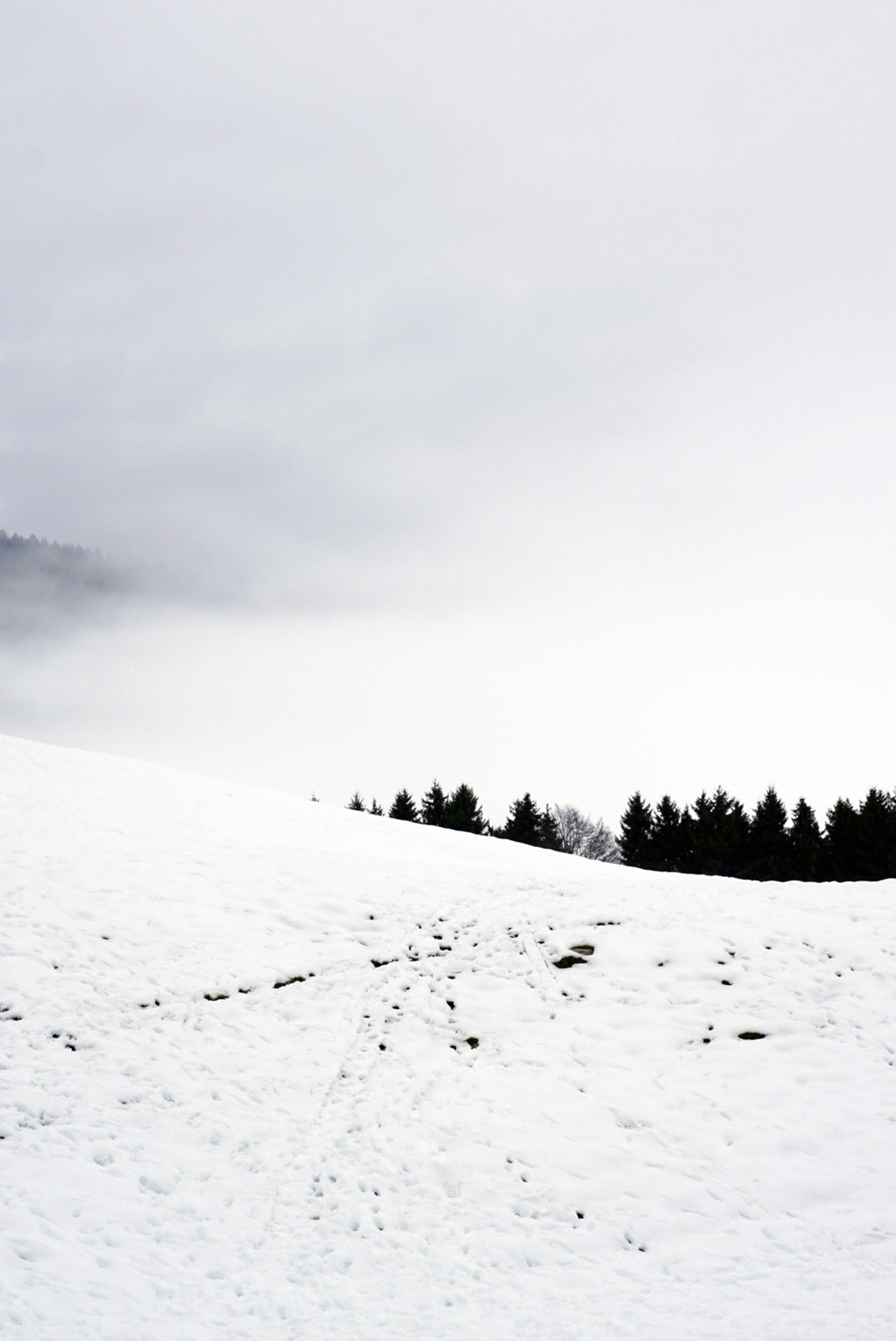 Choose from a curated selection of TV wallpapers for your mobile and desktop screens. Always free on Unsplash.