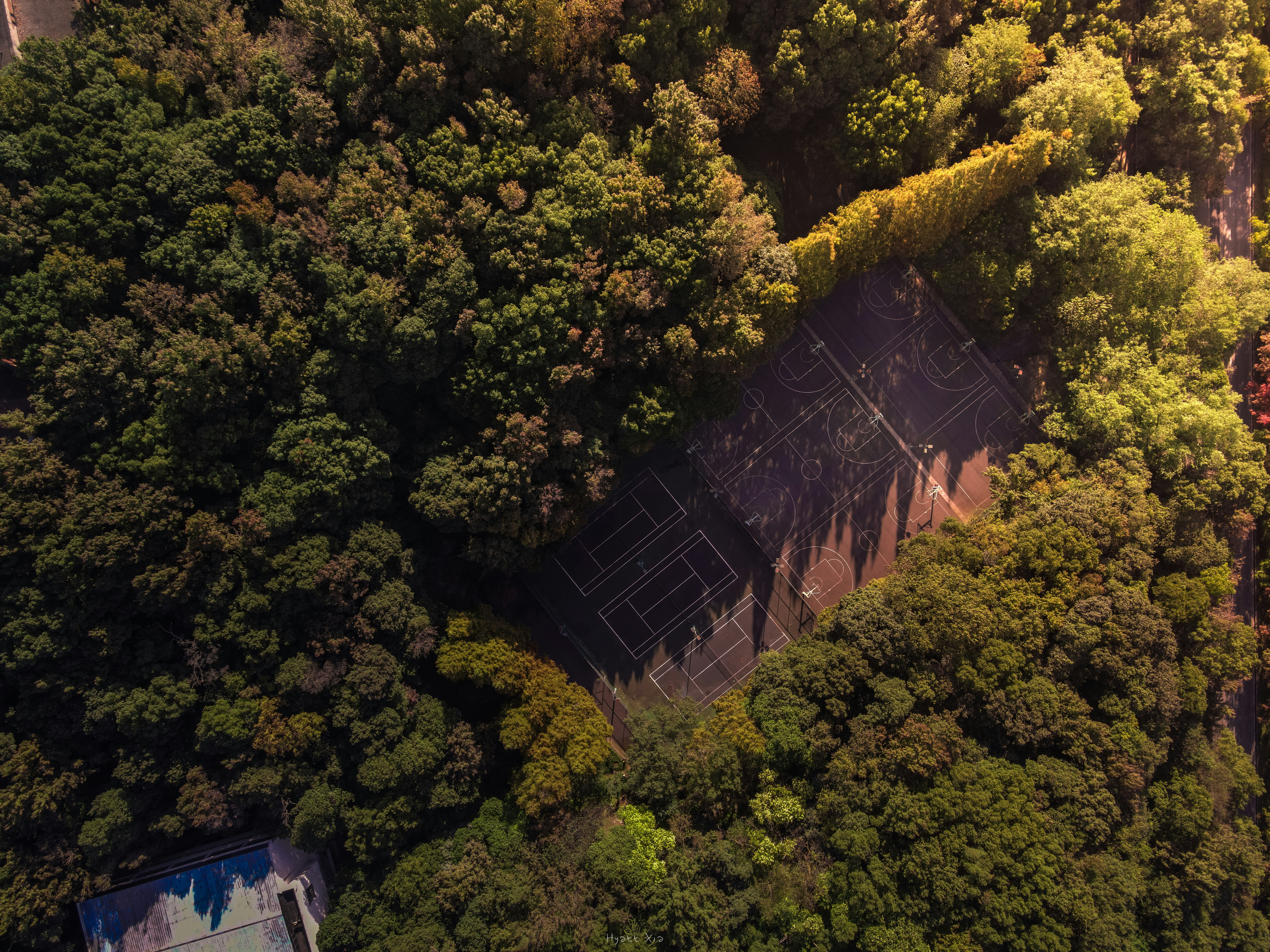 uma vista aérea de uma quadra de tênis cercada por árvores