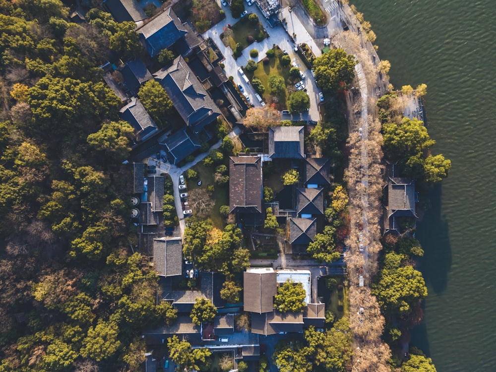 a bird's eye view of a neighborhood by the water