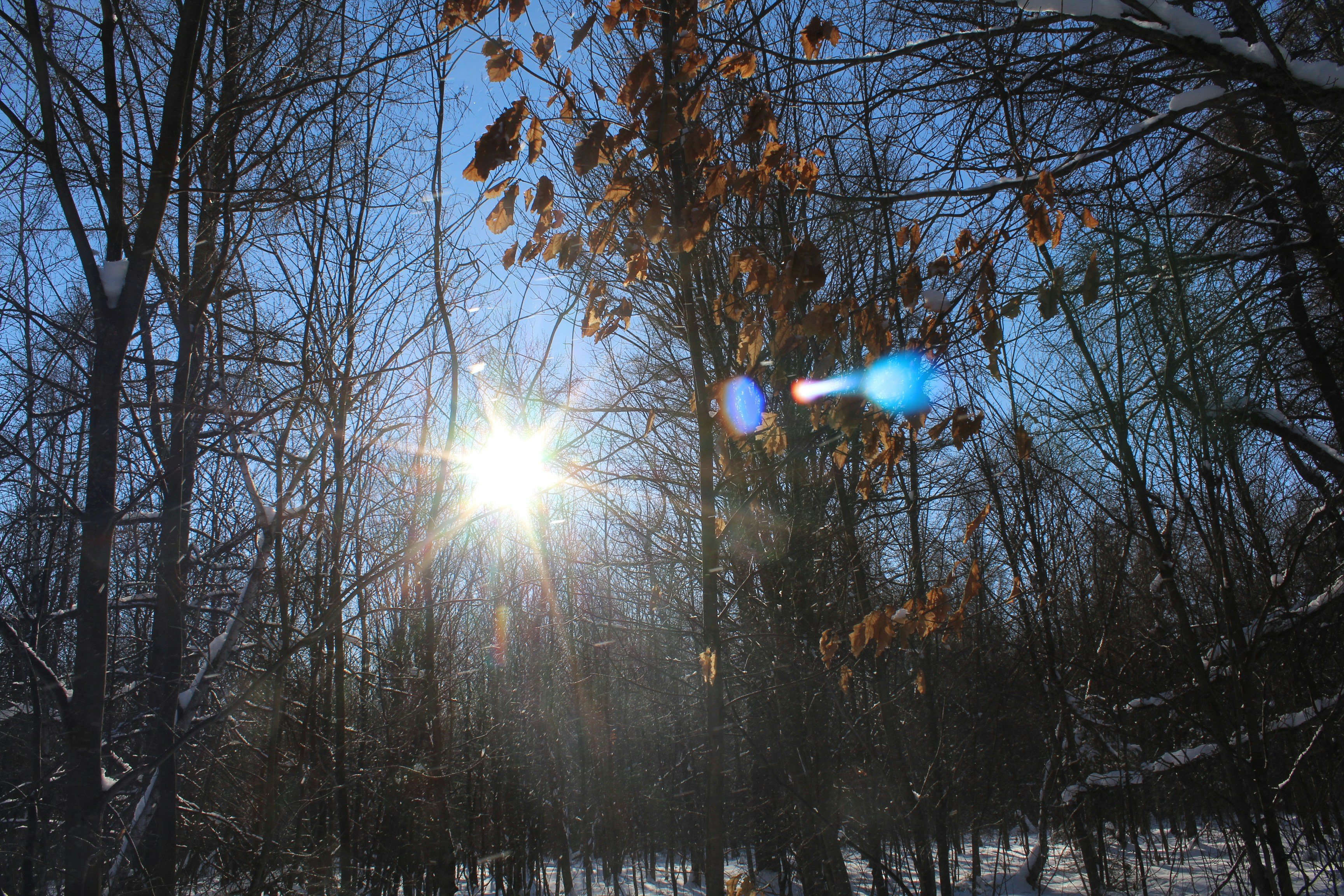 Sunlight and mood connection in winter